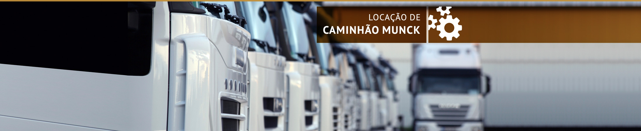 slide imagem 4
